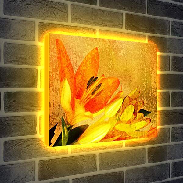 Лайтбокс световая панель - flowers
