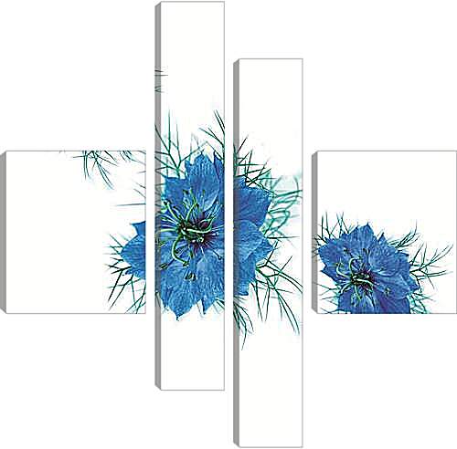 Модульная картина - cornflower on white - Васильки на белом
