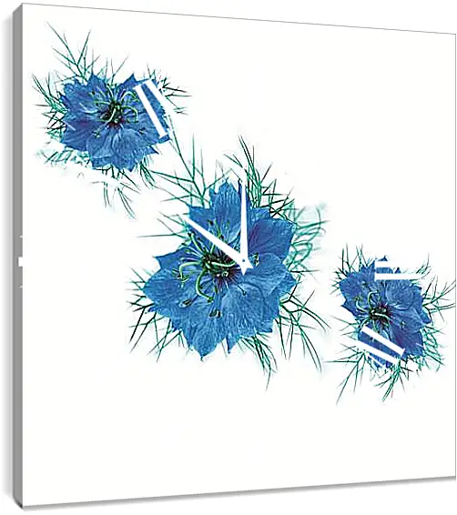 Часы картина - cornflower on white - Васильки на белом
