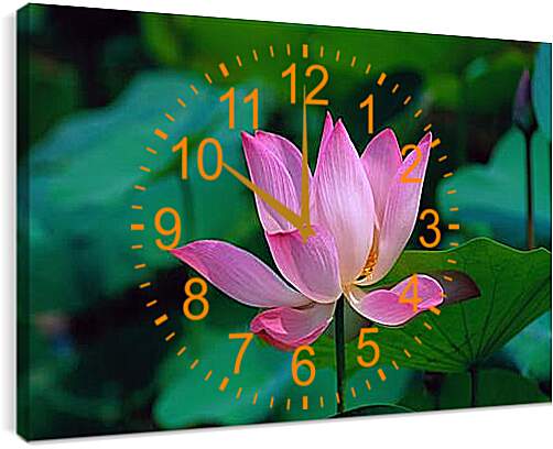 Часы картина - lotus - Лотос
