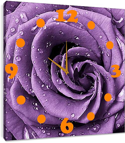 Часы картина - Сиреневая роза
