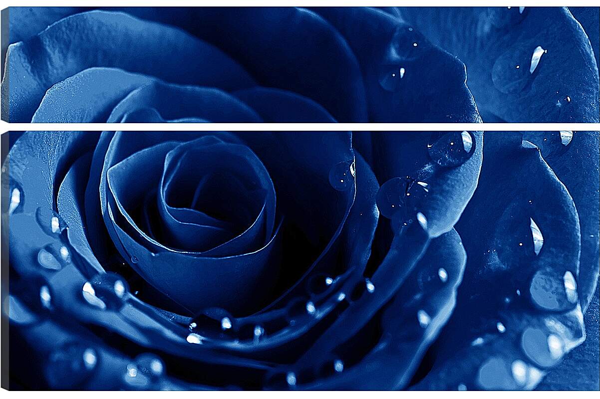 Модульная картина - Синяя роза