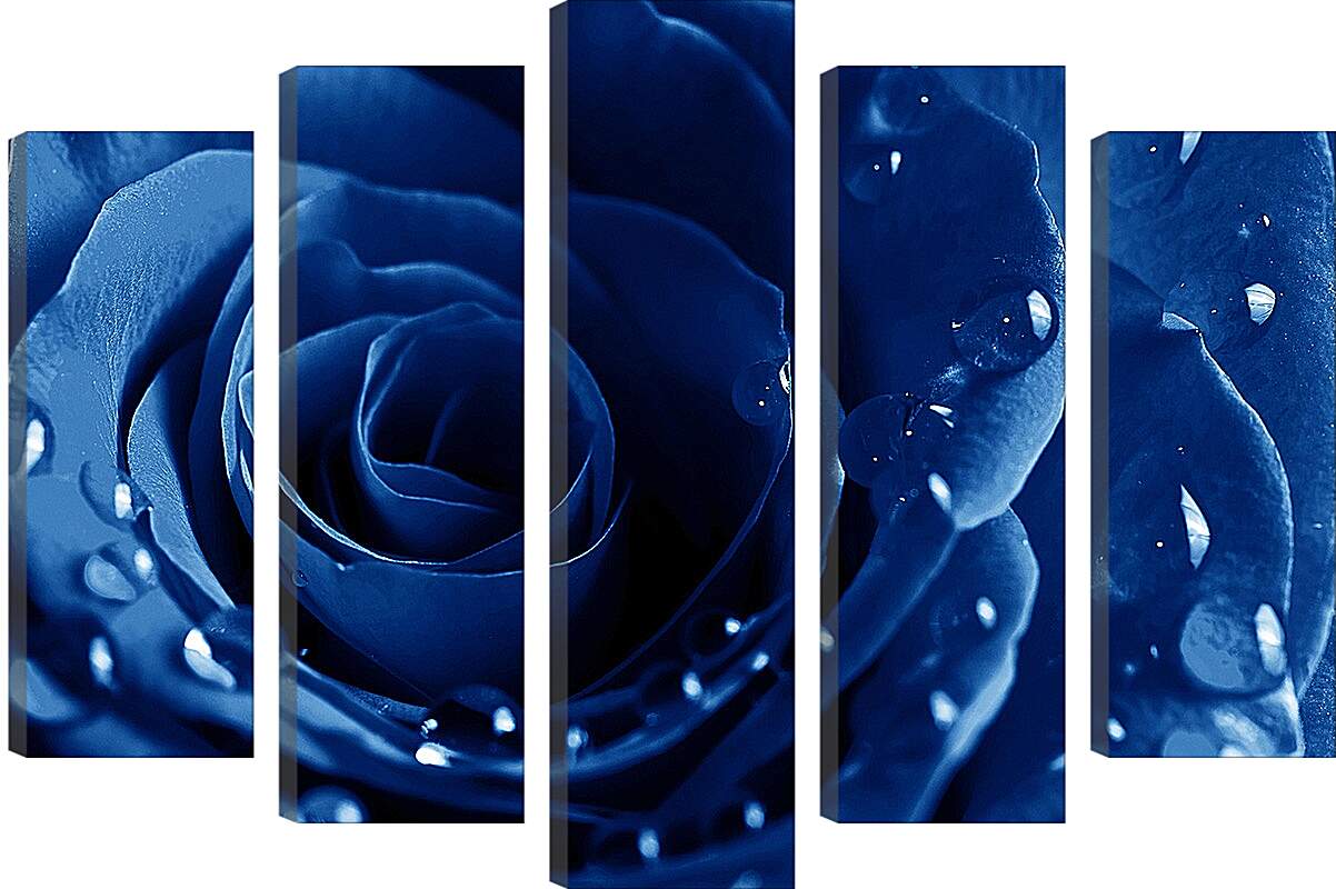 Модульная картина - Синяя роза