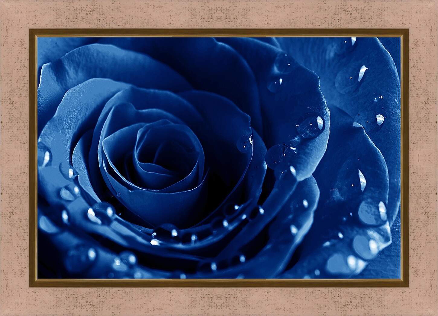 Картина в раме - Синяя роза