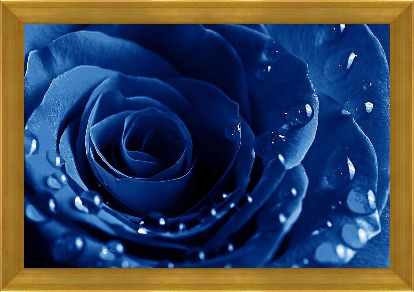 Картина в раме - Синяя роза