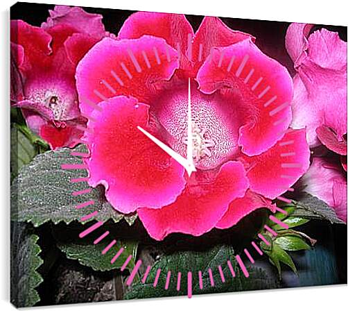 Часы картина - Beautiful red flower - Аленький цветочек

