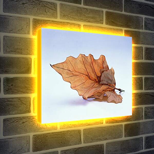 Лайтбокс световая панель - желтый лист
