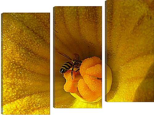 Модульная картина - bee - Пчела