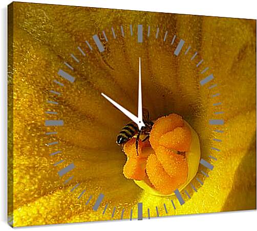 Часы картина - bee - Пчела