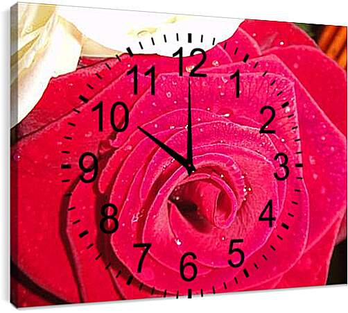 Часы картина - Роза
