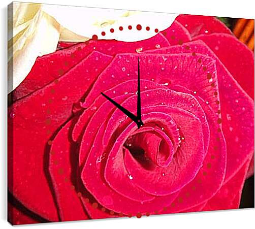 Часы картина - Роза
