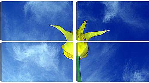 Модульная картина - Желтый тюльпан
