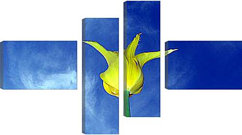 Модульная картина - Желтый тюльпан
