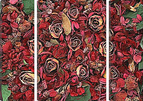 Модульная картина - Сухие розы
