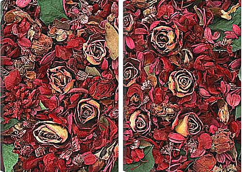 Модульная картина - Сухие розы
