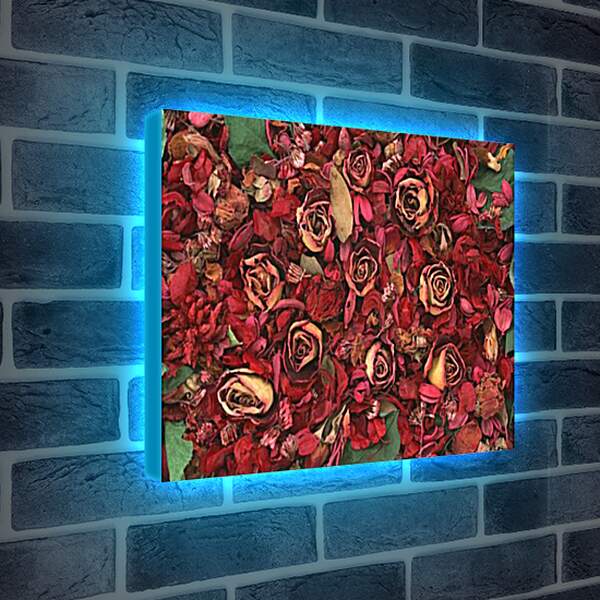 Лайтбокс световая панель - Сухие розы
