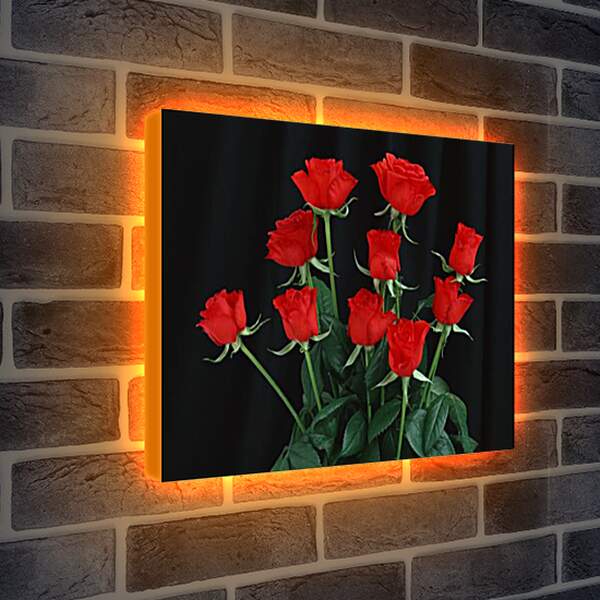 Лайтбокс световая панель - Розы
