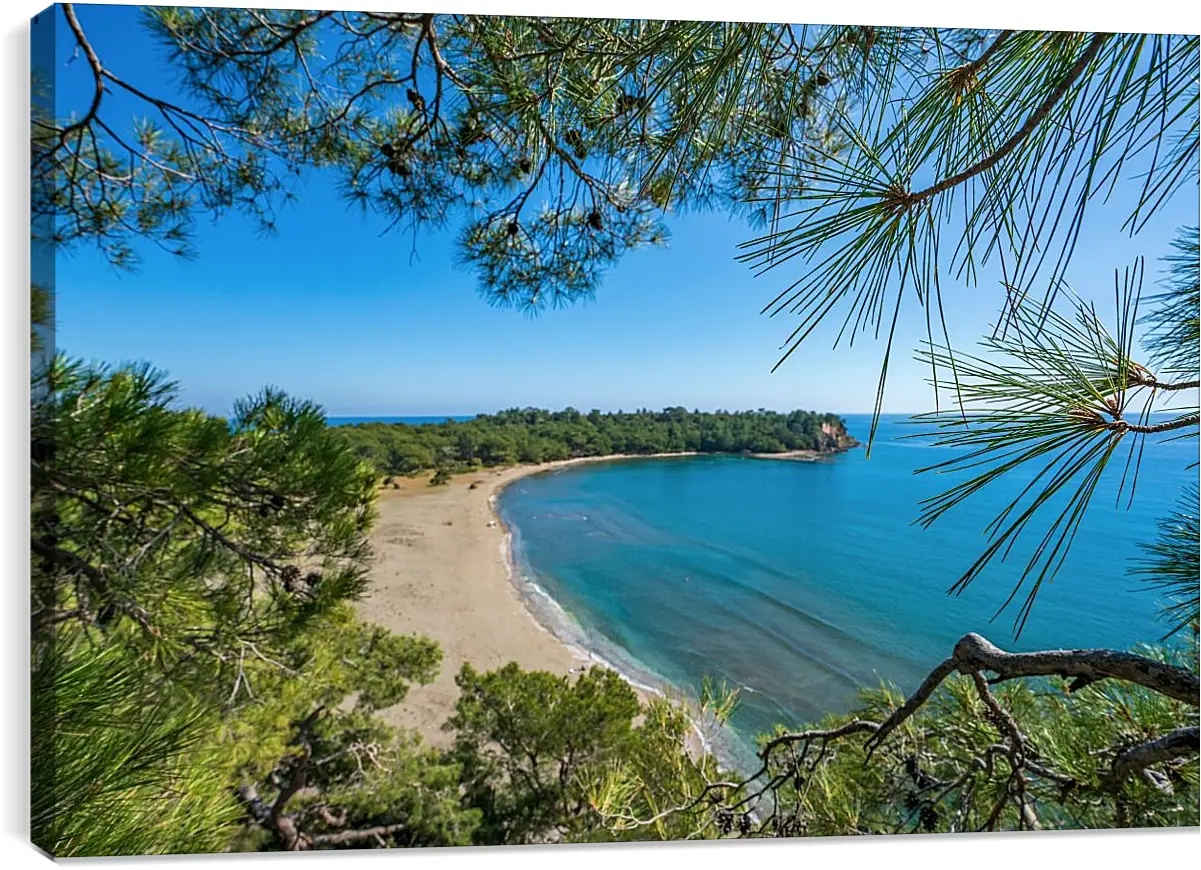 Постер и плакат - Вид на пляж и море через ветки