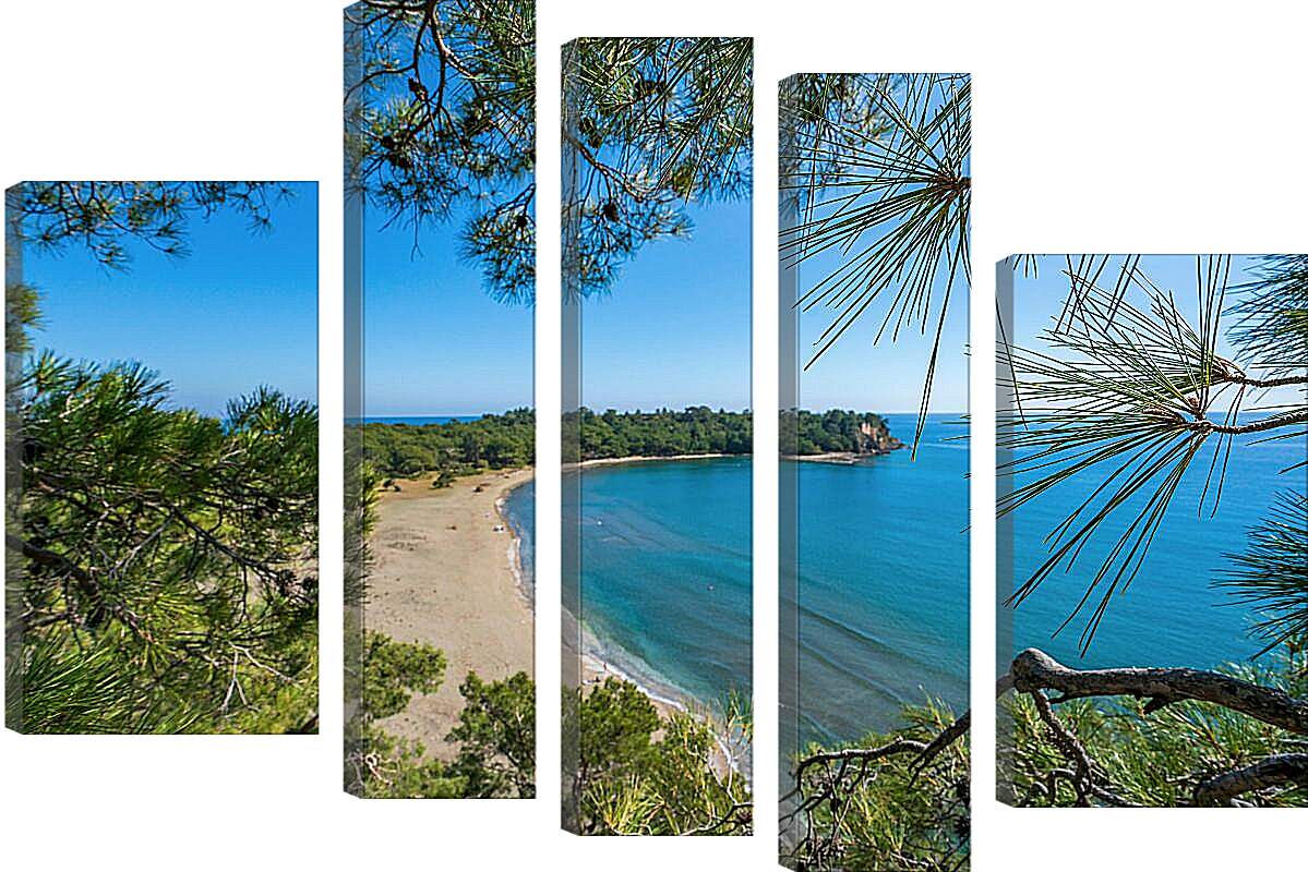 Модульная картина - Вид на пляж и море через ветки