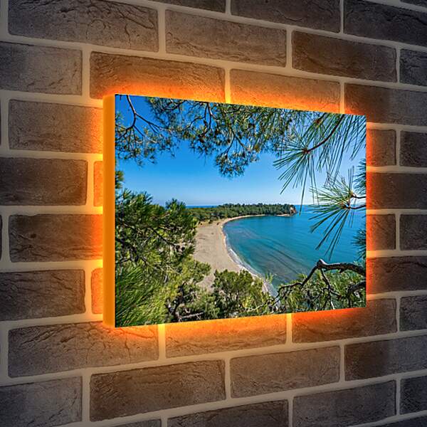Лайтбокс световая панель - Вид на пляж и море через ветки