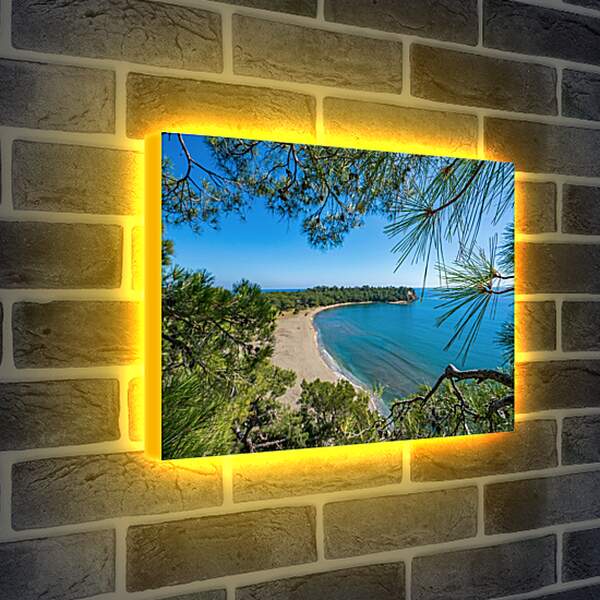 Лайтбокс световая панель - Вид на пляж и море через ветки
