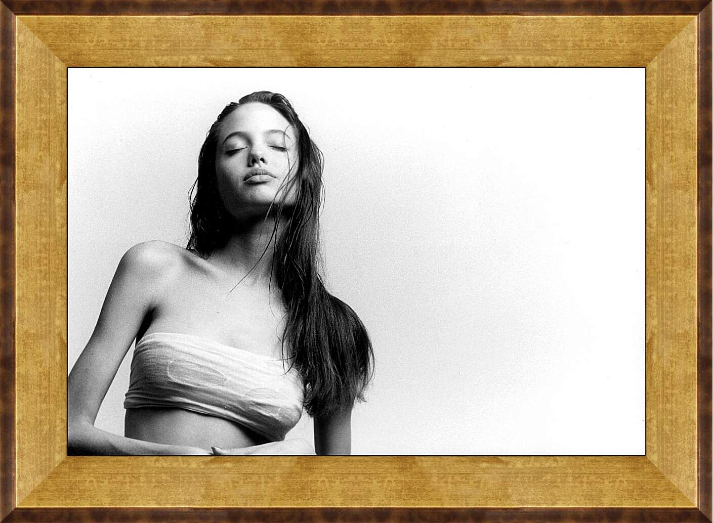 Картина в раме - Анджелина Джоли (Angelina Jolie)