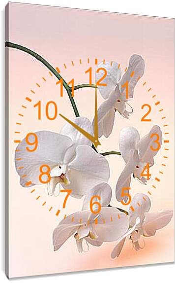 Часы картина - Орхидея белая