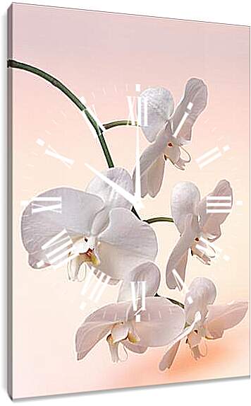 Часы картина - Орхидея белая