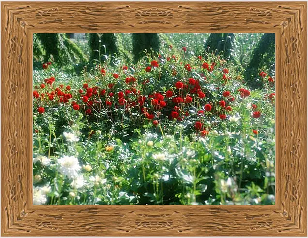 Картина в раме - Цветы
