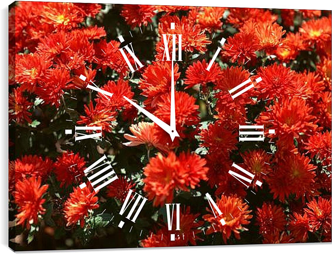 Часы картина - Красные хризантемы