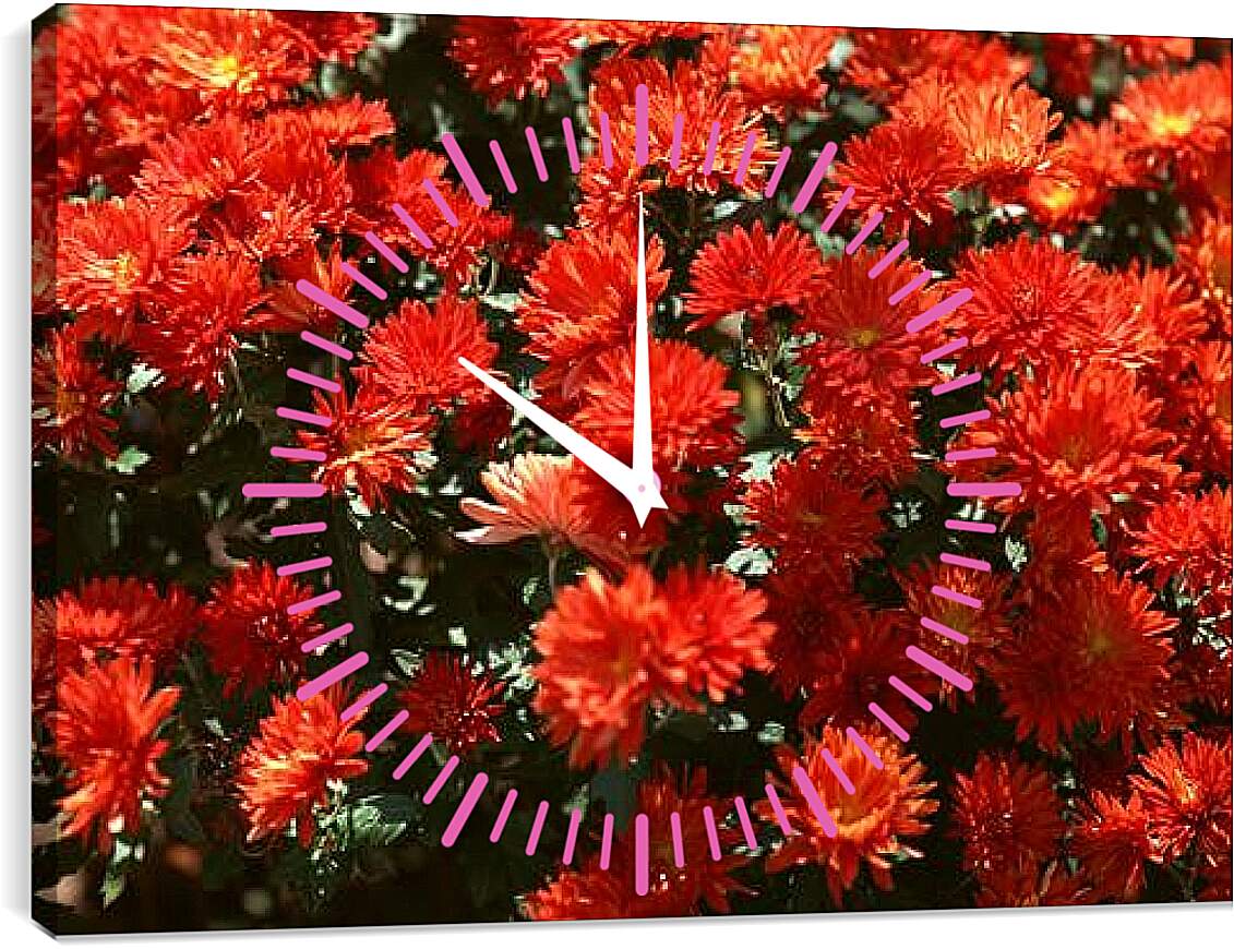 Часы картина - Красные хризантемы