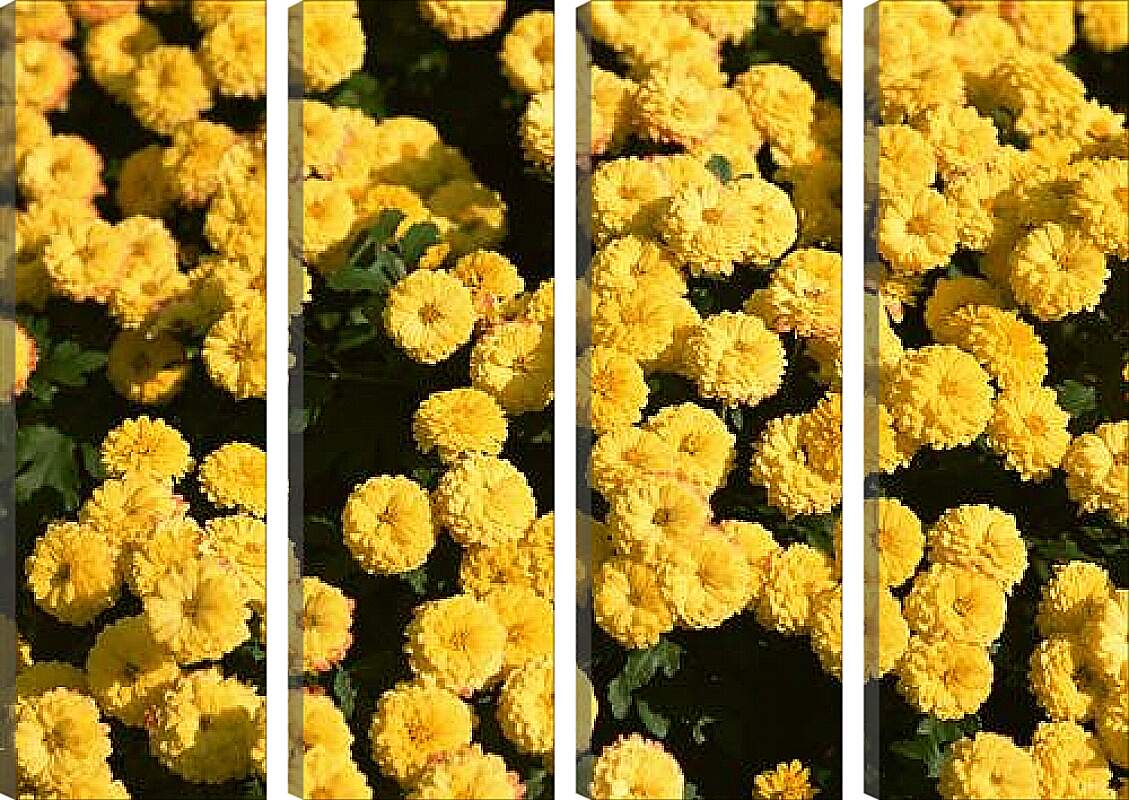 Модульная картина - Желтые цветочки