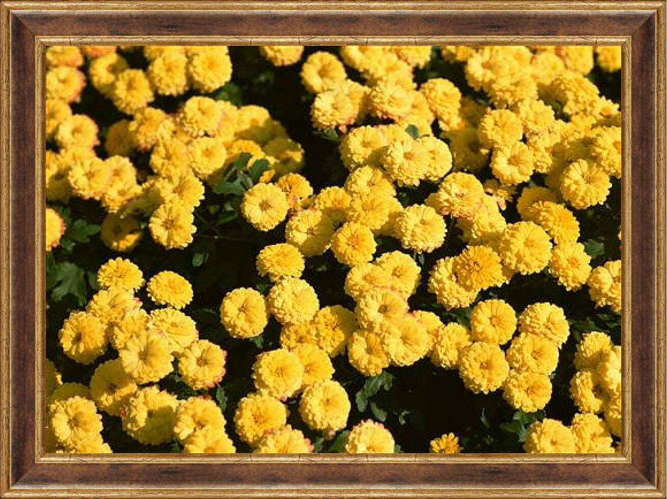 Картина в раме - Желтые цветочки