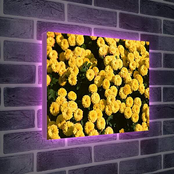 Лайтбокс световая панель - Желтые цветочки