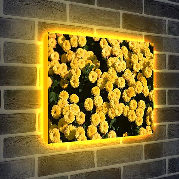 Лайтбокс световая панель - Желтые цветочки