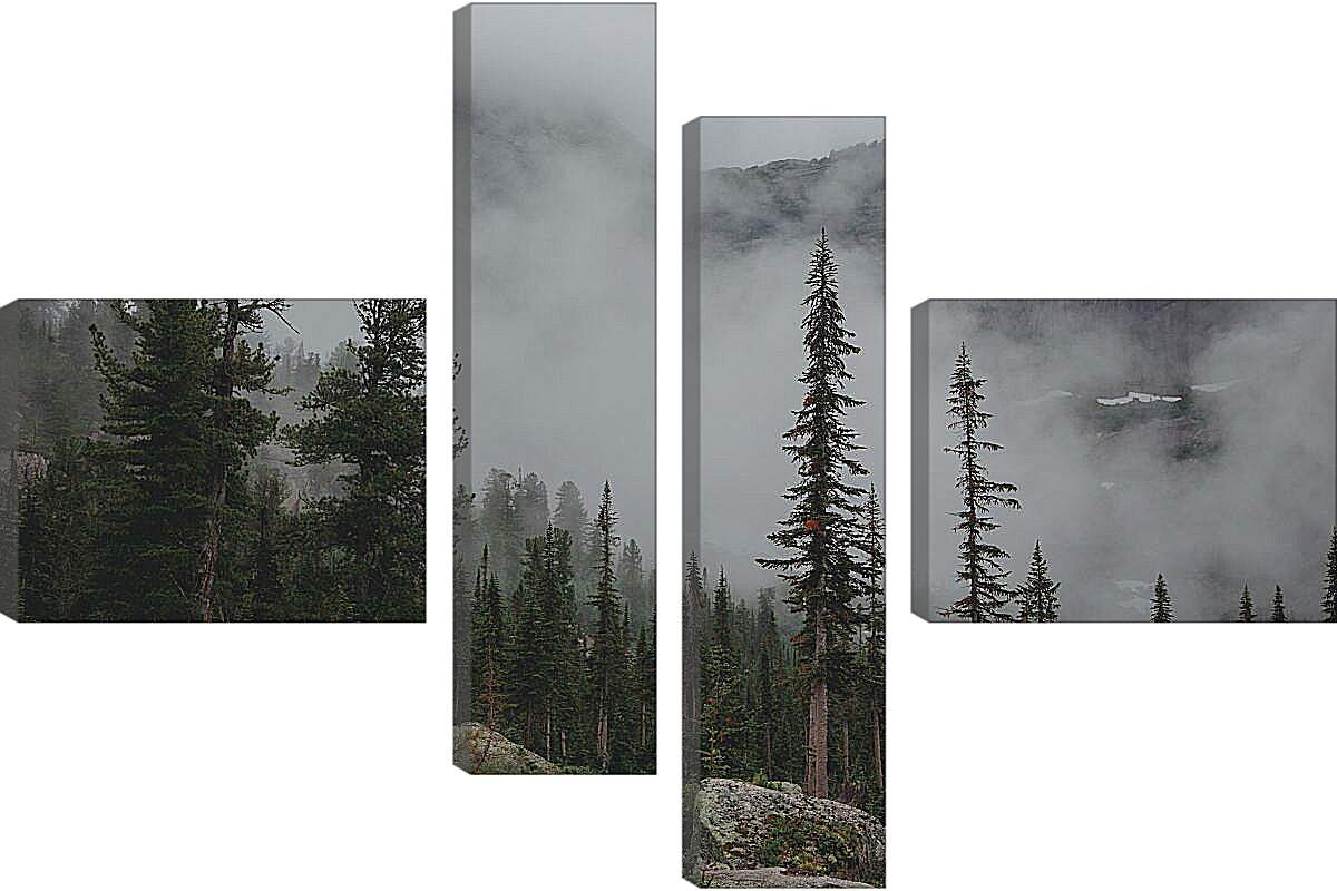 Модульная картина - Горы в тумане