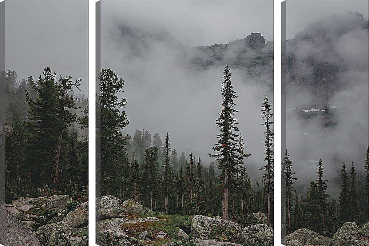 Модульная картина - Горы в тумане