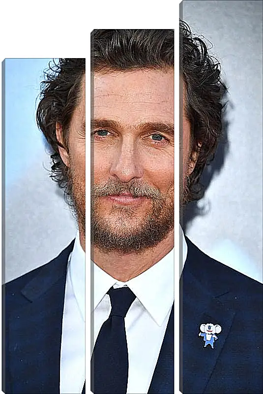 Модульная картина - Мэттью Макконахи. Matthew McConaughey