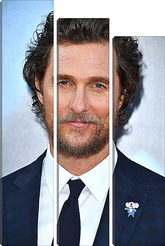 Модульная картина - Мэттью Макконахи. Matthew McConaughey