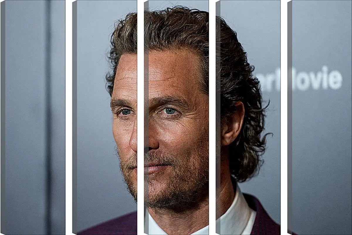 Модульная картина - Мэттью Макконахи. Matthew McConaughey