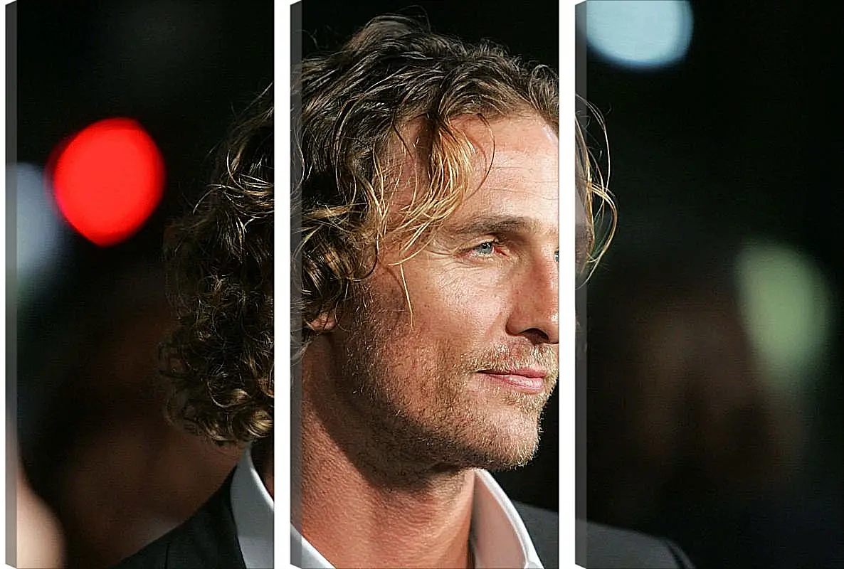 Модульная картина - Мэттью Макконахи. Matthew McConaughey