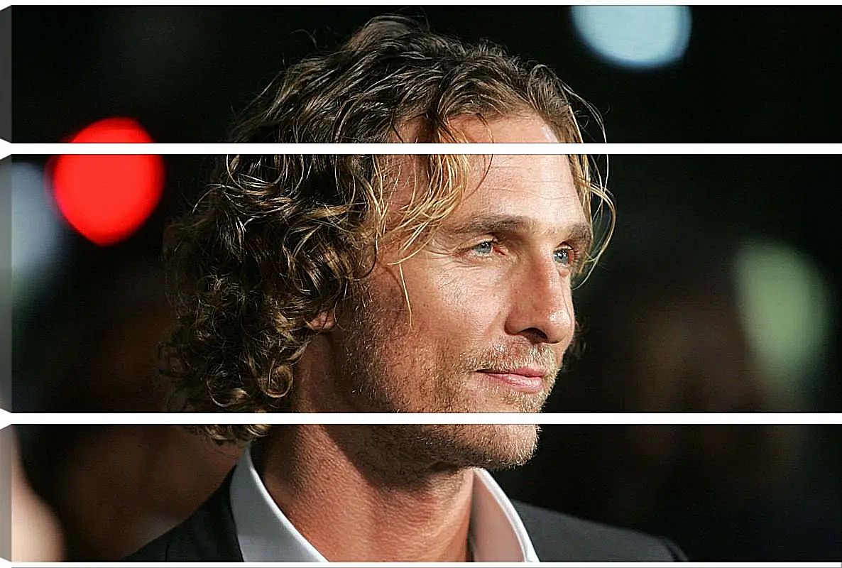 Модульная картина - Мэттью Макконахи. Matthew McConaughey