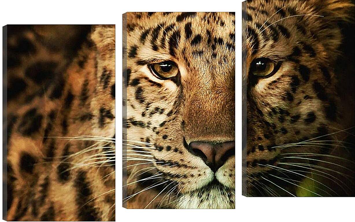Модульная картина - Леопард