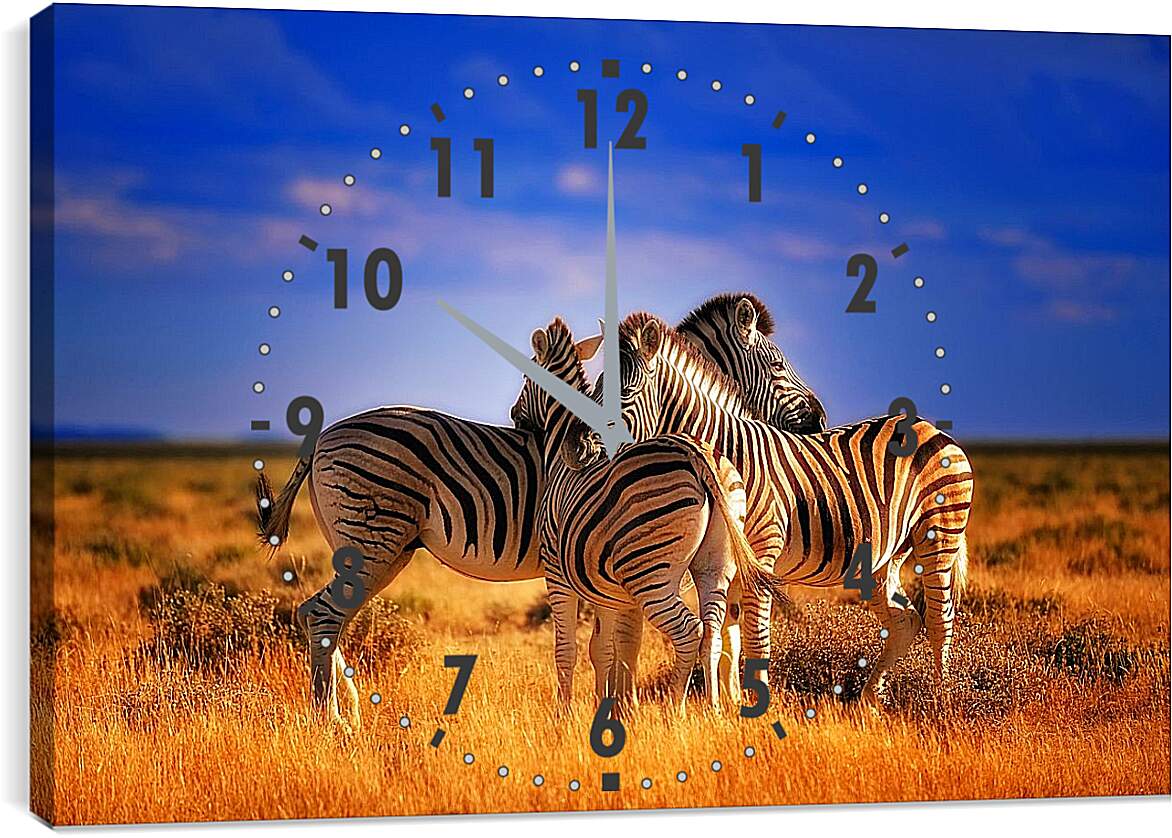 Часы картина - Зебры