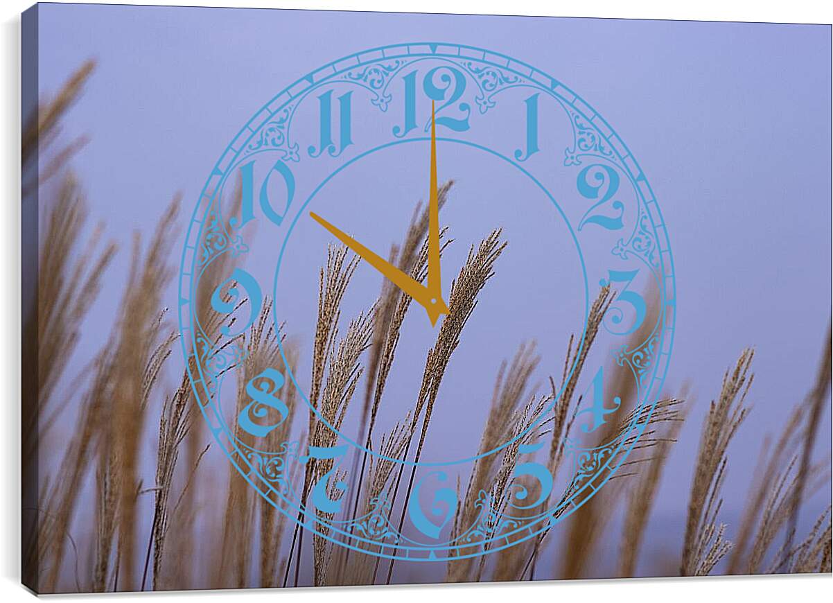 Часы картина - Пшеница