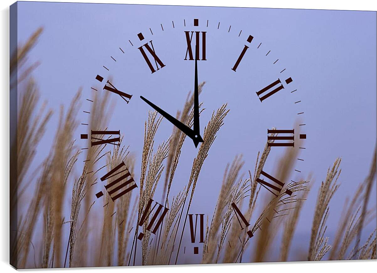 Часы картина - Пшеница