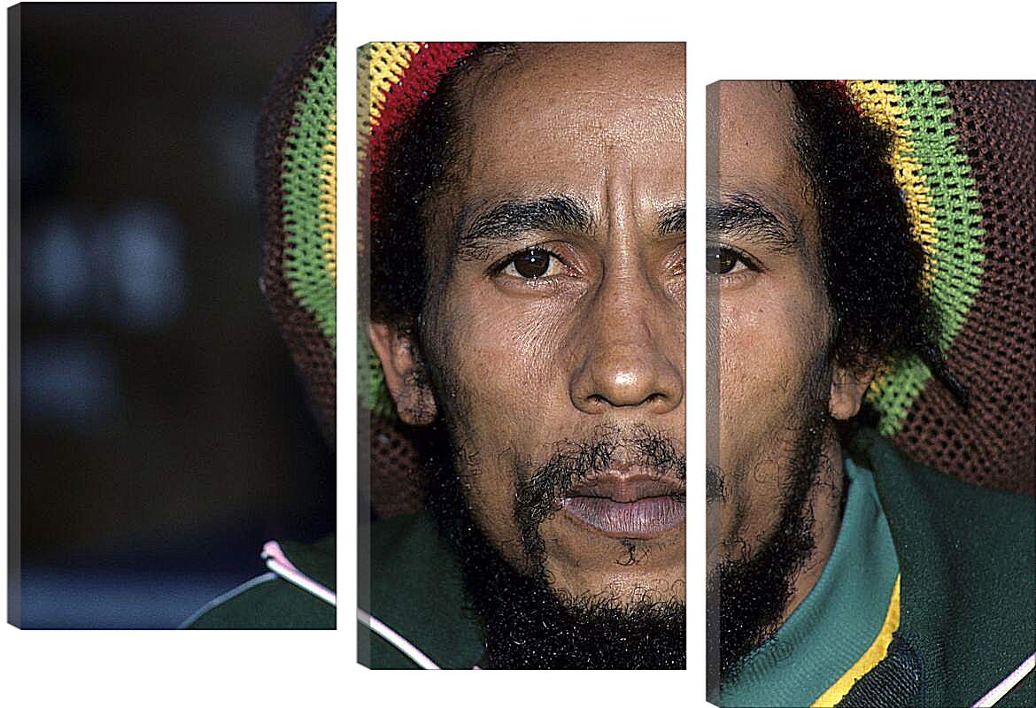 Модульная картина - Боб Марли. Bob Marley