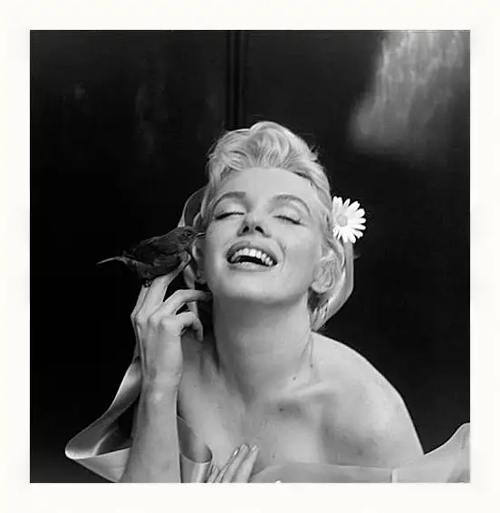 Картина в раме - Marilyn Monroe - Мерилин Монро
