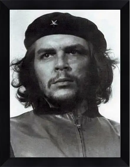 Картина в раме - Che Guevara - Че Гевара
