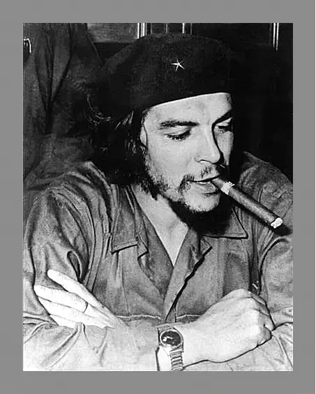 Картина в раме - Che Guevara - Че Гевара
